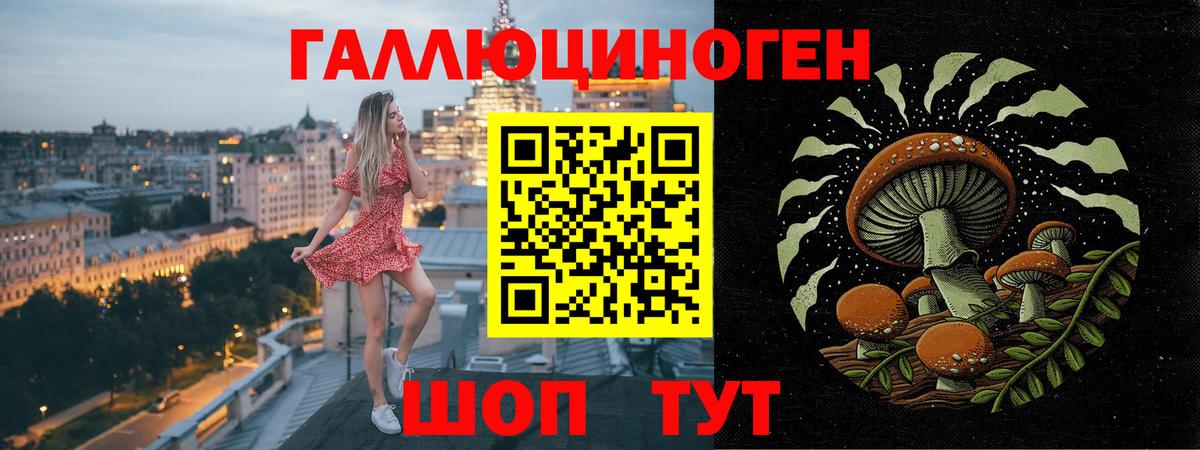 Псилоцибиновые грибы Psilocybine cubensis Сочи