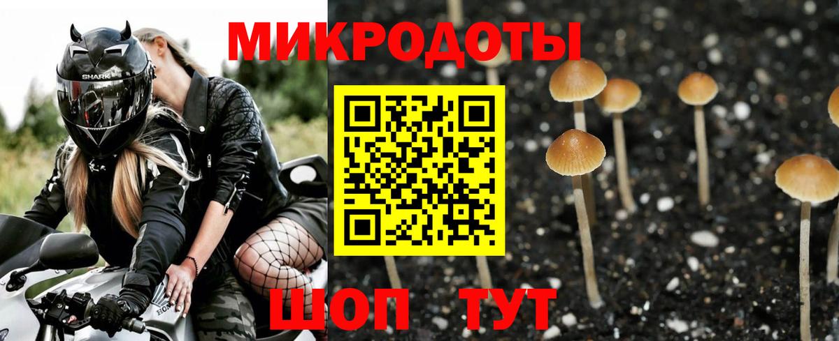 Псилоцибиновые грибы GOLDEN TEACHER  Вход с VPN  Сочи 